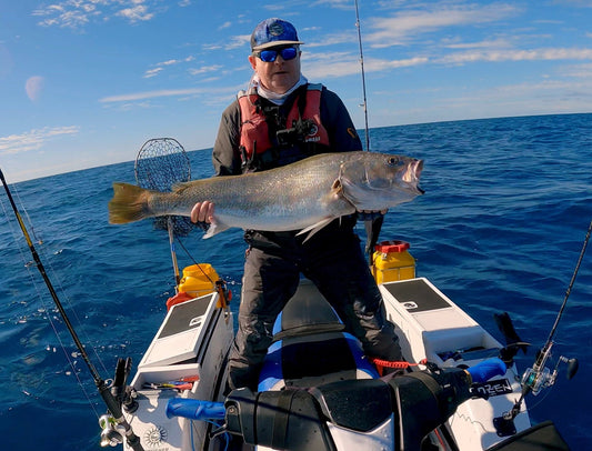 How to Catch Mulloway (Jewfish) on Live Bait-  in 30 seconds! - Jetcast